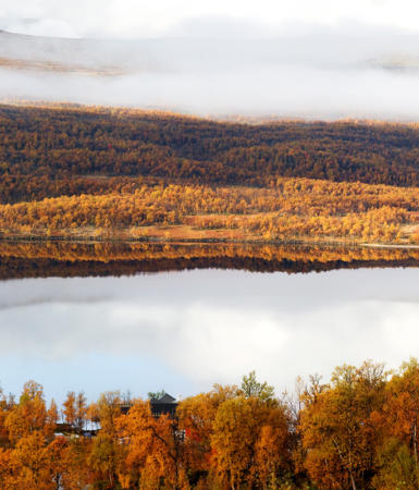 Colorful autumn