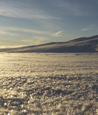 Frosty winter