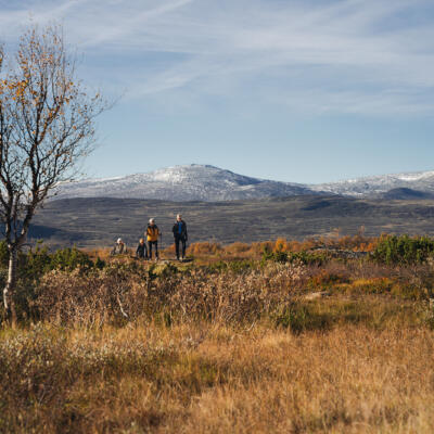 Mountain hiking in Fjällnäs