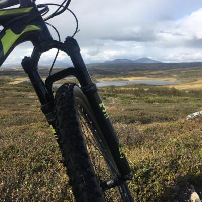 Mountainbiking in Fjällnäs