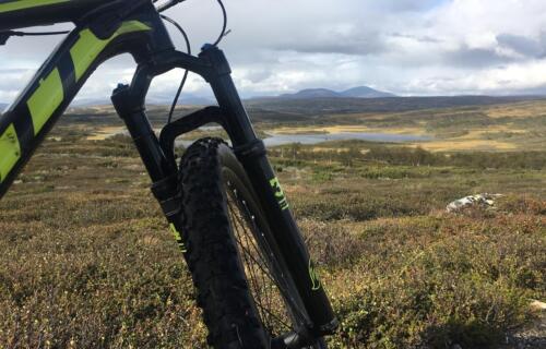 Mountainbiking in Fjällnäs