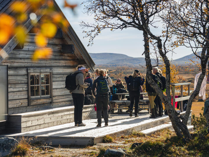 Fjällnäs på Fjället