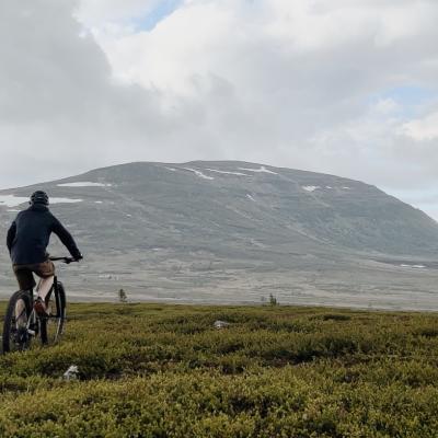 MTB på fjället med Fjällnäs Explore