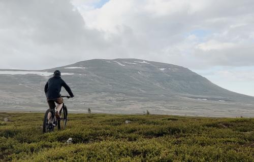 MTB på fjället med Fjällnäs Explore