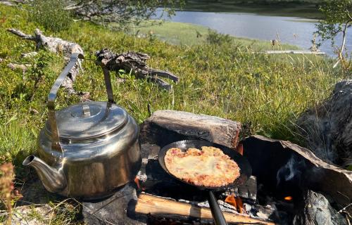 Vandring med utelunch på fjället tillsammans med Fjällnäs Explore