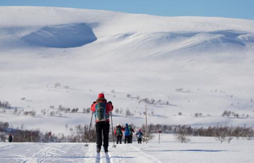 Fjällnäs, Funäsfjällstriangeln