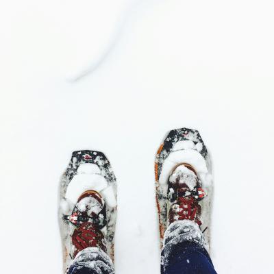 Snöskovandring, Fjällnäs