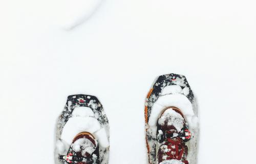 Snöskovandring, Fjällnäs