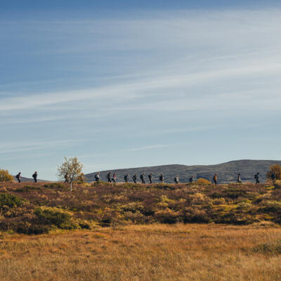 Fjällvandring med Fjällnäs Explore i Fjällnäs