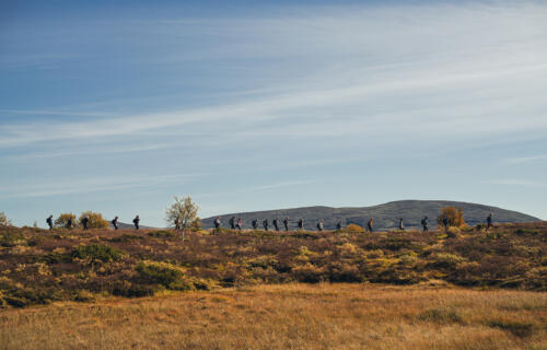 Fjällvandring med Fjällnäs Explore i Fjällnäs