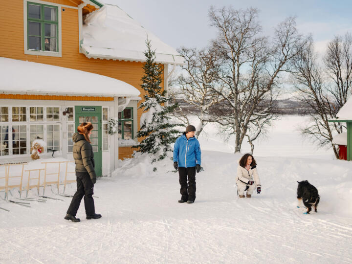 Upptäck Funäsfjällen på vintern: aktiviteter och utflykter
